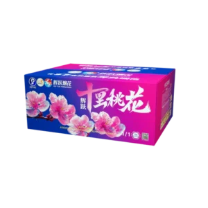 (HY22) 9" 138 V2 - Shi Li Tao Hua