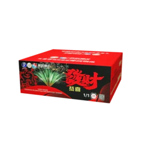 (HY26) 9" 138 V2 - Gong Xi Fa Cai