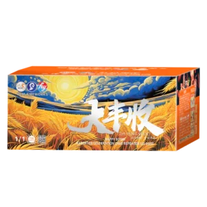 (HY30) 10''138 V2 -Da Feng Shou