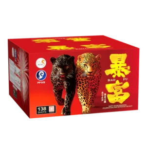 (SW209) King Bao Fu - 10"138 V